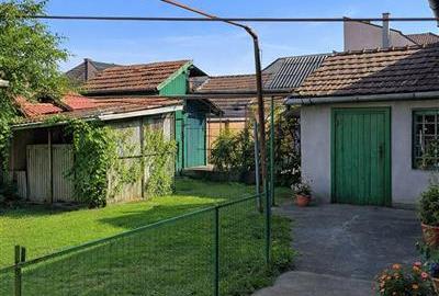 Casa:farmec traditional,gradina,curte,acces auto,pivnita,pod,anexe,Remetea,Targu - 23