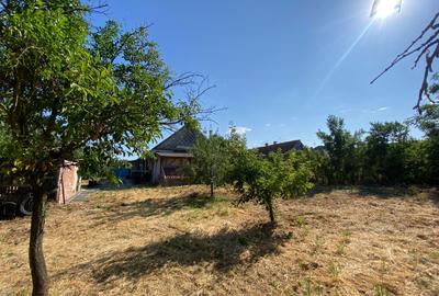 Casă de vacanță , 2 cam, teren 3.381 mp - 5