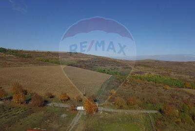 Teren Pădureni (Chinteni), intravilan, parcelabil - 7