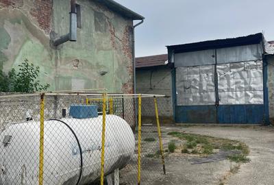 Complex industrial/Ferma de vânzare | Orțișoara, jud. Timiș - 36