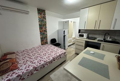 Apartament 1 camera la Mansarda - 10