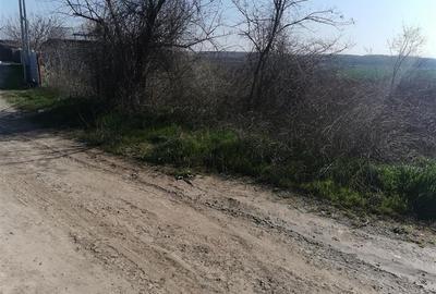 Teren intravilan de constructii, Chiscani, St - 2200 mp, deschidere 50 m - 3