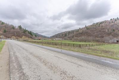 Teren intravilan, 6.900 mp, construibil – Plaiul Foii, Zărnești - 7