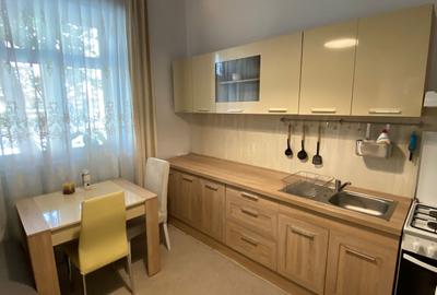 Apartament de închiriat, 1 cameră, 50 mp, zona Piața Muzeului - 6