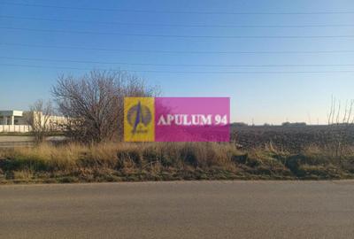 Săbăreni, teren intravilan 8800 mp, pe DJ 602, pretabil hale, depozite - 1