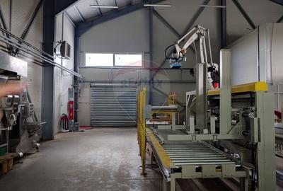 Spațiu industrial-depozit de 1120mp de închiriat în Dumbrăveni, SV - 18