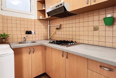 Inchiriere apartament cu 2 camere -vedere catre Cismigiu - 9