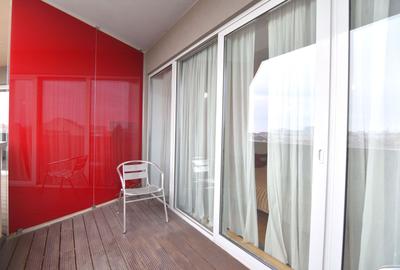 Apartament de inchiriat-Central Timisoara - 11