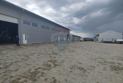 Spațiu industrial-depozit de 1120mp de închiriat în Dumbrăveni, SV - 5