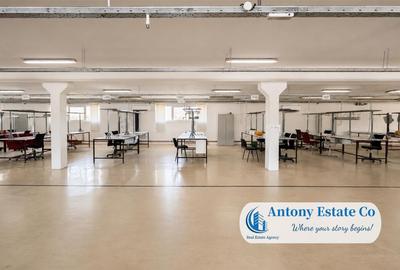 Antony Estate | Vanzare Hala - 2019 mp, Borsului - Oradea - 5