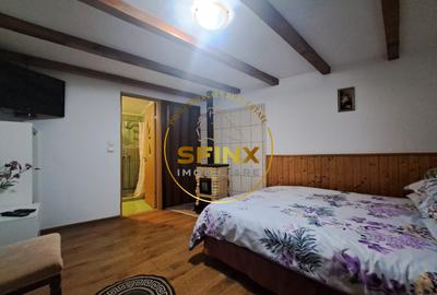 Casa de vacanta cu priveliste | Pensiune | Lac Siriu | Judetul Buzau - 5