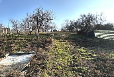 OKAZIE ! Vanzare Casa 3 camere Nefinisata IGHIU 1320 mp Teren Utilitati Asfalt - 18