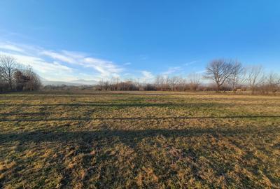 Teren Construcții intravilan de 1370 mp, în Bran