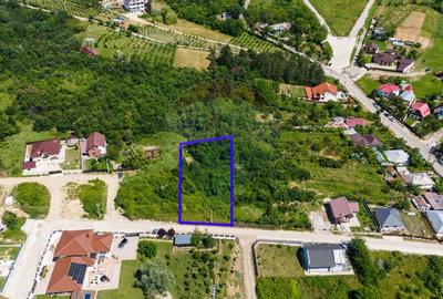 Teren de Vânzare 1450mp la Asfalt - Zona Plopii Fără Soț, Bucium-Iași - 2
