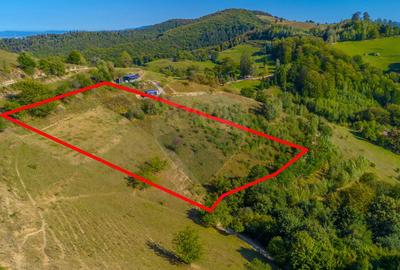 Teren agricol extravilan de 6014 mp, în Holbav