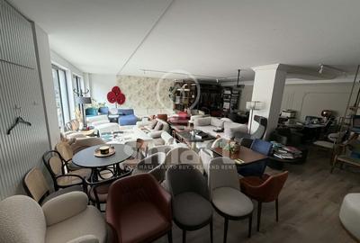 Spatiu comercial cu vitrina Zorilor - 1