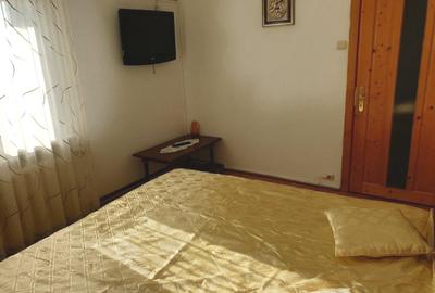 Apartament ultracentral, 3 camere, cu priveliste impresionanta, langa Mercur - 8