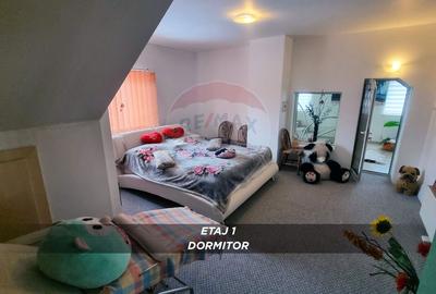 Casă / Vilă cu 10 camere de vânzare în SIGHETUL MARMATIEI zona Central - 50