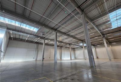 Spatiu Industrial - 6800 mp - Logistica - Productie - Depozitare - Distributie - 13