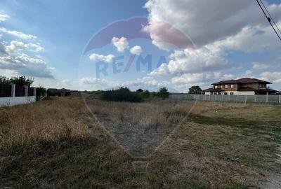 Teren intravilan 577 mp Vladimirescu - 5