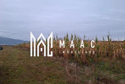 Teren Intravilan | 3900 MP | Tălmaciu - 2