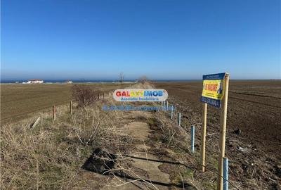 Teren intravilan 47.400 mp, Vama Veche, 200 m de Marea Neagra - 3