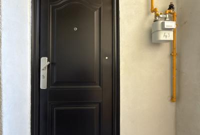 Apartament 1 camera, 20mp, parter - zona Elisabetin - 7