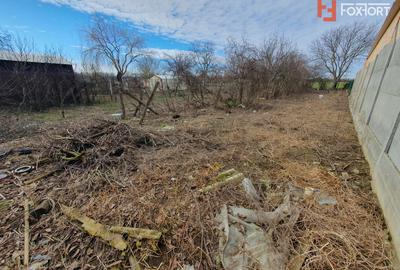 Casa de vanzare cu 3 camere si teren de 1008 mp - Deta - 16