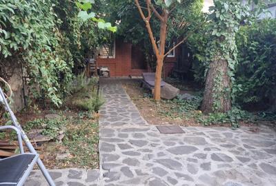 Inchiriere Apartament in Vila, parter+mansarda, zona Chibrit - 13