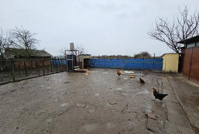 Casă individuală, cu 3 camere, în localitatea Ivanda, la 30 km de Timișoara - 19