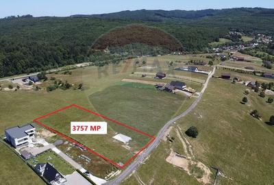 Teren 3,757mp Paltinoasa / Strada principala - 1