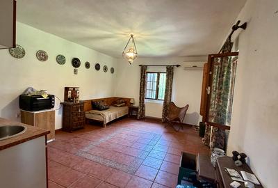 Casă la țară de vânzare în Tartășești – refugiu de relaxare aproape de București - 7