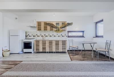 Apartament modern cu 1 cameră situat pe Str Gaudi/Borhanci - 11