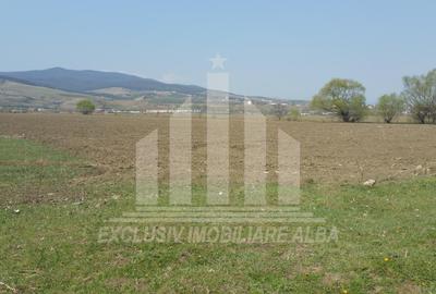 Teren intravilan | De vanzare | 10000 mp | 50 ml deschidere | Partos - 2