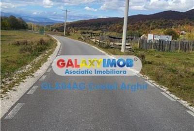 Vindem teren 20000 mp Cheile Rasnoavei - Brasov , pentru case vacanta - 10