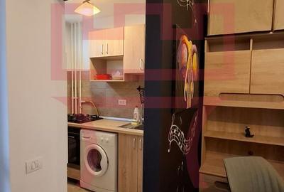Garsoniera renovata etaj intermediar Gheorgheni Brancusi Diana - 13