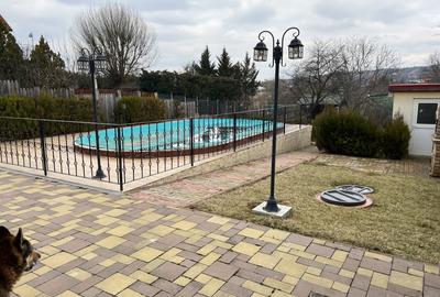 Vila P + Et 1, Gageni, 2010, piscina - 18