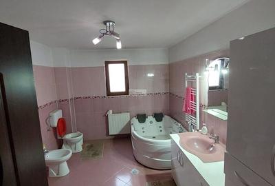 Casa/vila de vanzare in Garoafa /Vrancea - 11
