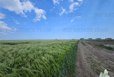 TEREN INTRAVILAN 50000 MP AGIGEA ZONA RO RO - 8