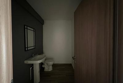 Spatiu comercial Visan - zona Profi, 176mp - 24