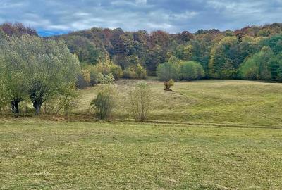 Teren la pădure, panoramic dealuri si păduri, curent si asfalt - 2