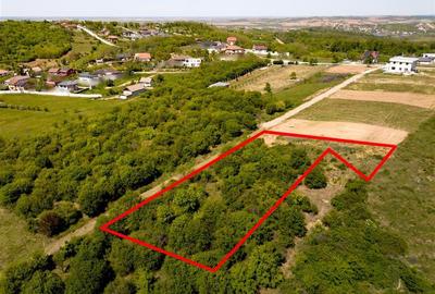 RECO Teren intravilan pentru investitie 2414 mp -dealuri Oradea - 8