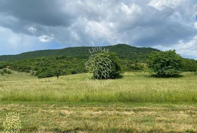 Teren 7200 mp-parcelabil-investitie-Sieu Magherus la 16 km de Bistrita - 7