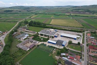 Proprietate industriala 5200mp cu 3,1 ha teren intravilan, in Miercurea Sibiului