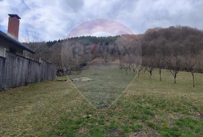 Teren de vânzare în Firiza, Baia Mare - 1