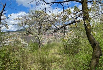 Teren intravilan pentru constructii de vanzare in Gruia, Cluj Napoca - 1