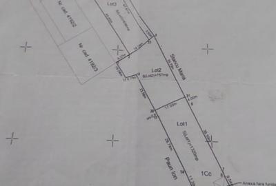 Teren intravilan Dumitrana-Pruni - 1