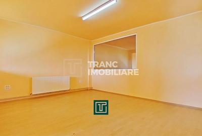 Clădire cu 10 camere în Aradul Nou – ideală pentru investiție/afaceri - 8