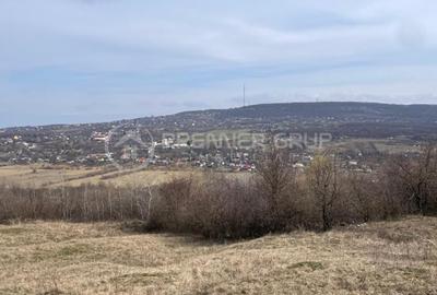 Teren intravilan 11.300mp, Barnova, cu acces auto si front stradal - 5