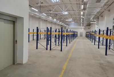 Spatii depozitare - conditii ideale pentru arhiva, management documente etc. - 5